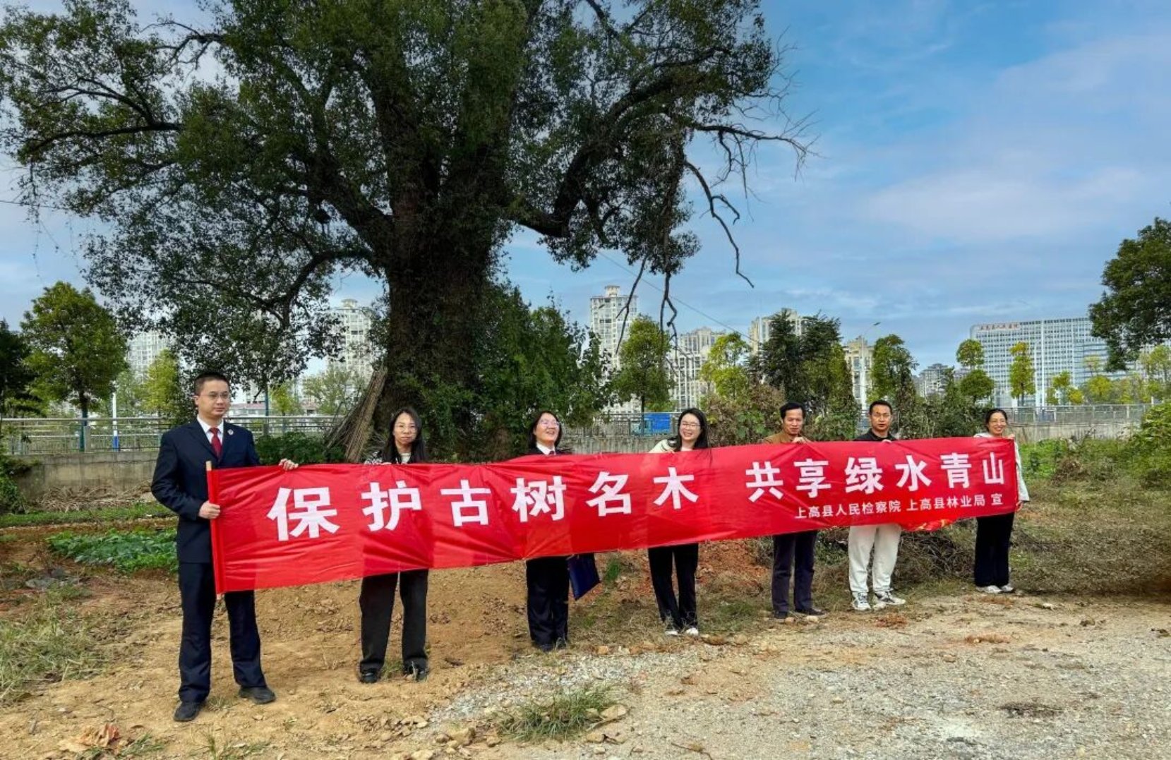 ���ֳ�+��쳤��������չ������ľ�������������