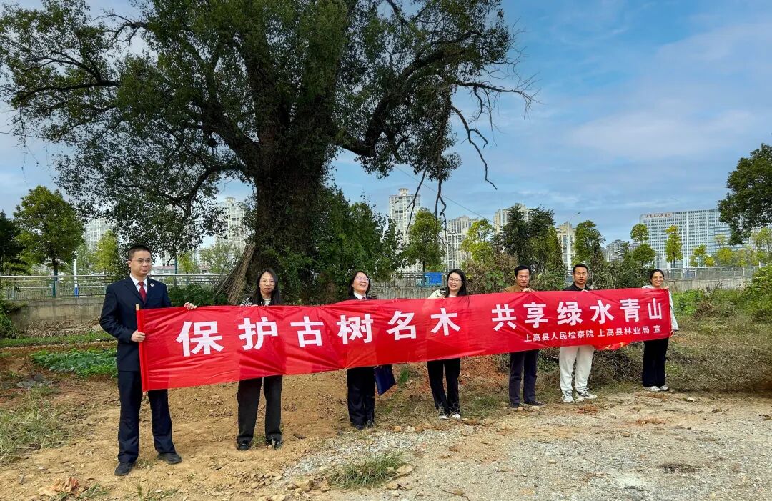 ���ֳ�+��쳤��������չ������ľ�������������